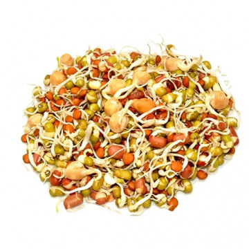Mix Sprouts 1 packet (200gm) 
